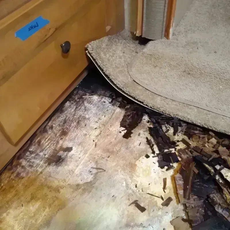 Wood Floor Water Damage in Bridgeview, IL